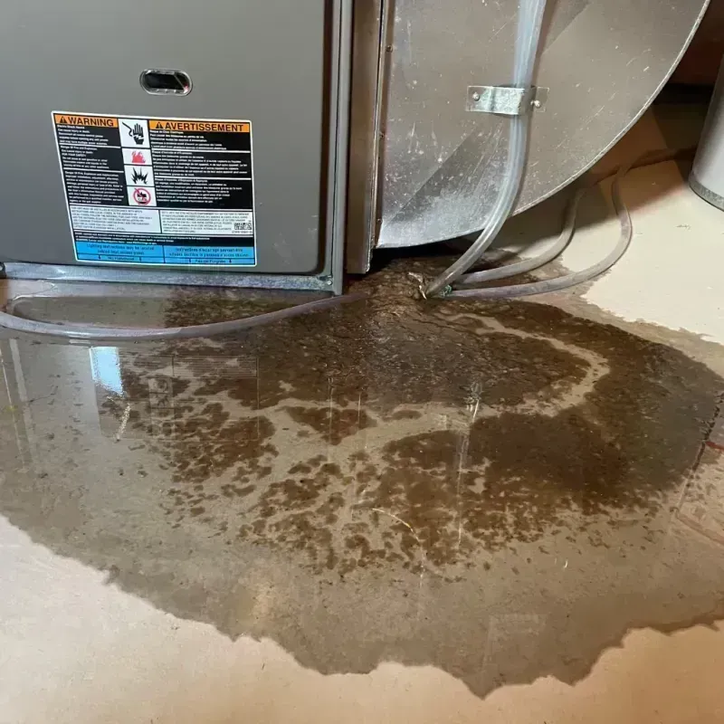 Appliance Leak Cleanup in Mountain Village, CO